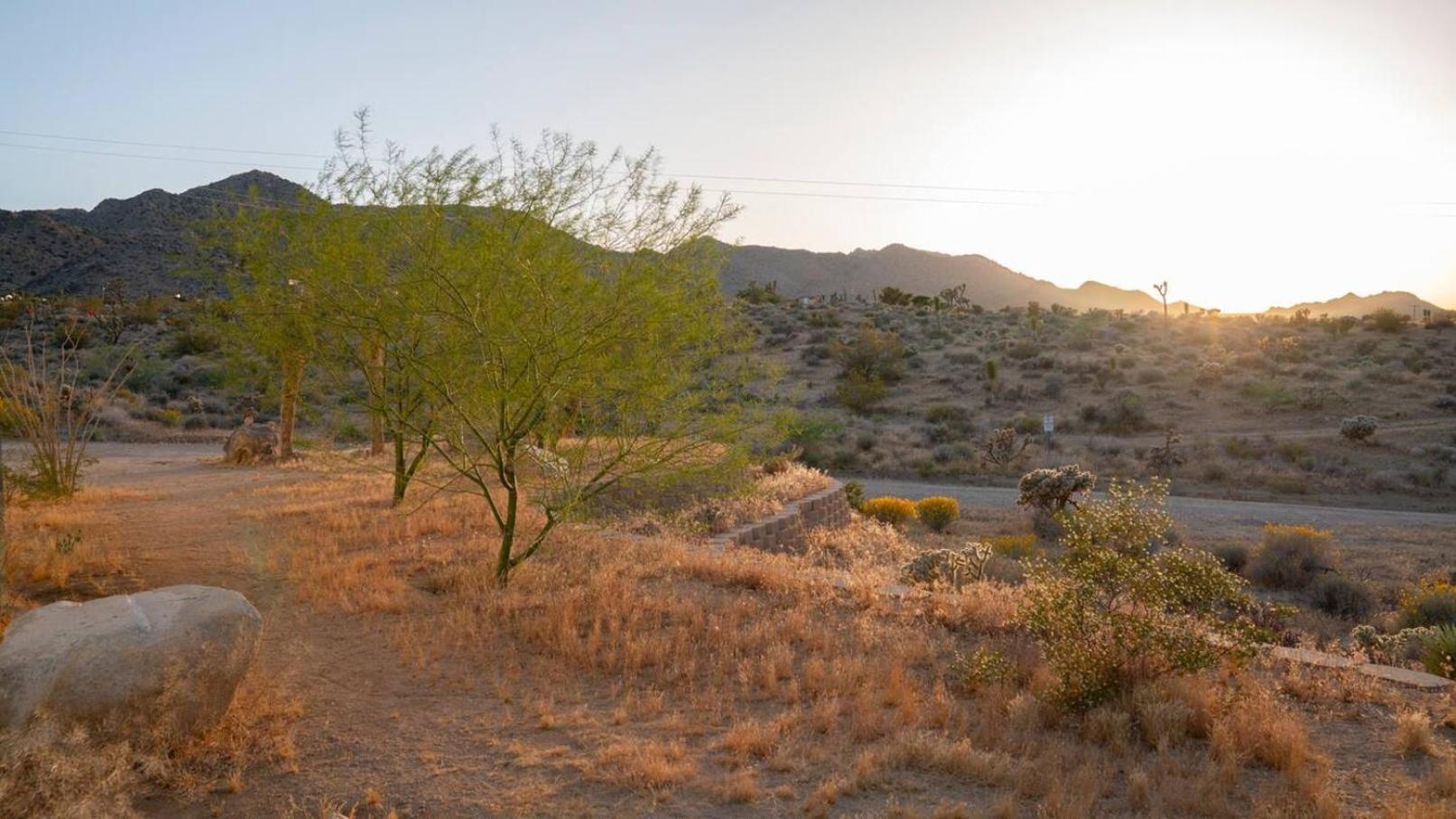 Experience Desert Serenity Gateway To ジョシュア・ツリー エクステリア 写真