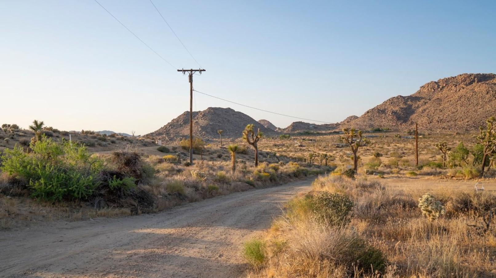 Experience Desert Serenity Gateway To ジョシュア・ツリー エクステリア 写真